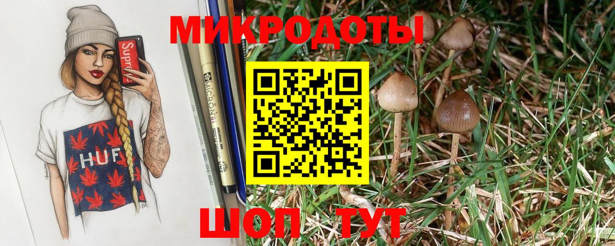 Галлюциногенные грибы Magic Shrooms Рязань