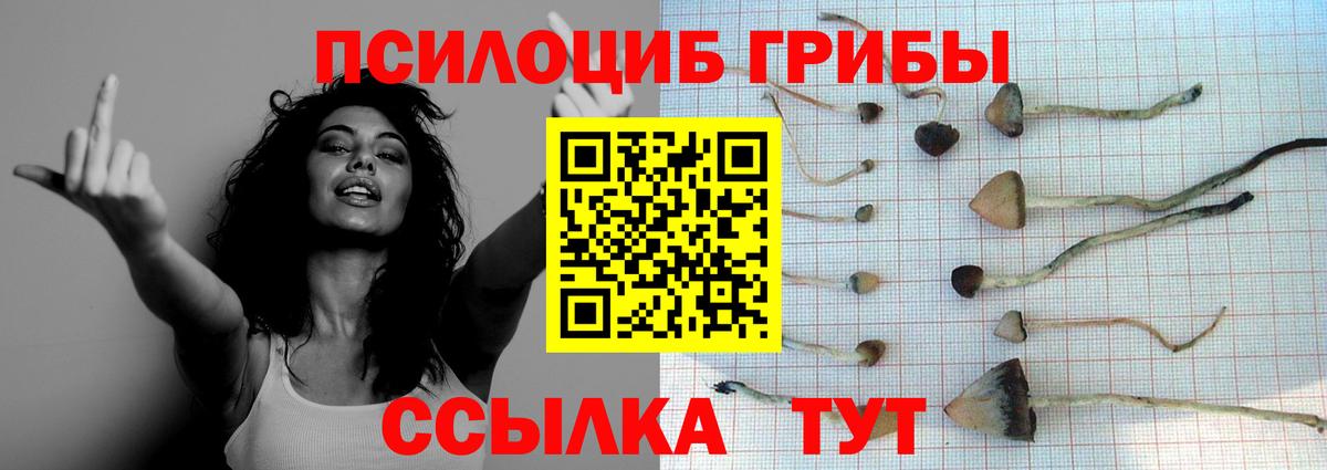 Рязань  Галлюциногенные грибы ЛСД  купить наркоту  Вход с VPN  Галлюциногенные грибы мицелий 